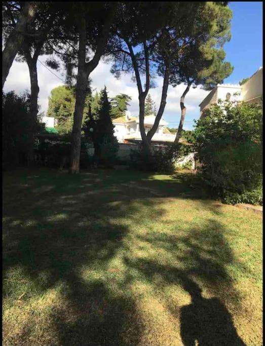 Beachfront 1st Line- Dunas - Cabopino Port