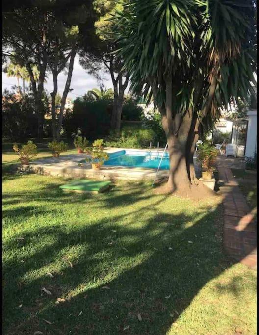 Beachfront 1st Line- Dunas - Cabopino Port *